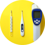 Thermometers (digital, infrared, or contact-based)