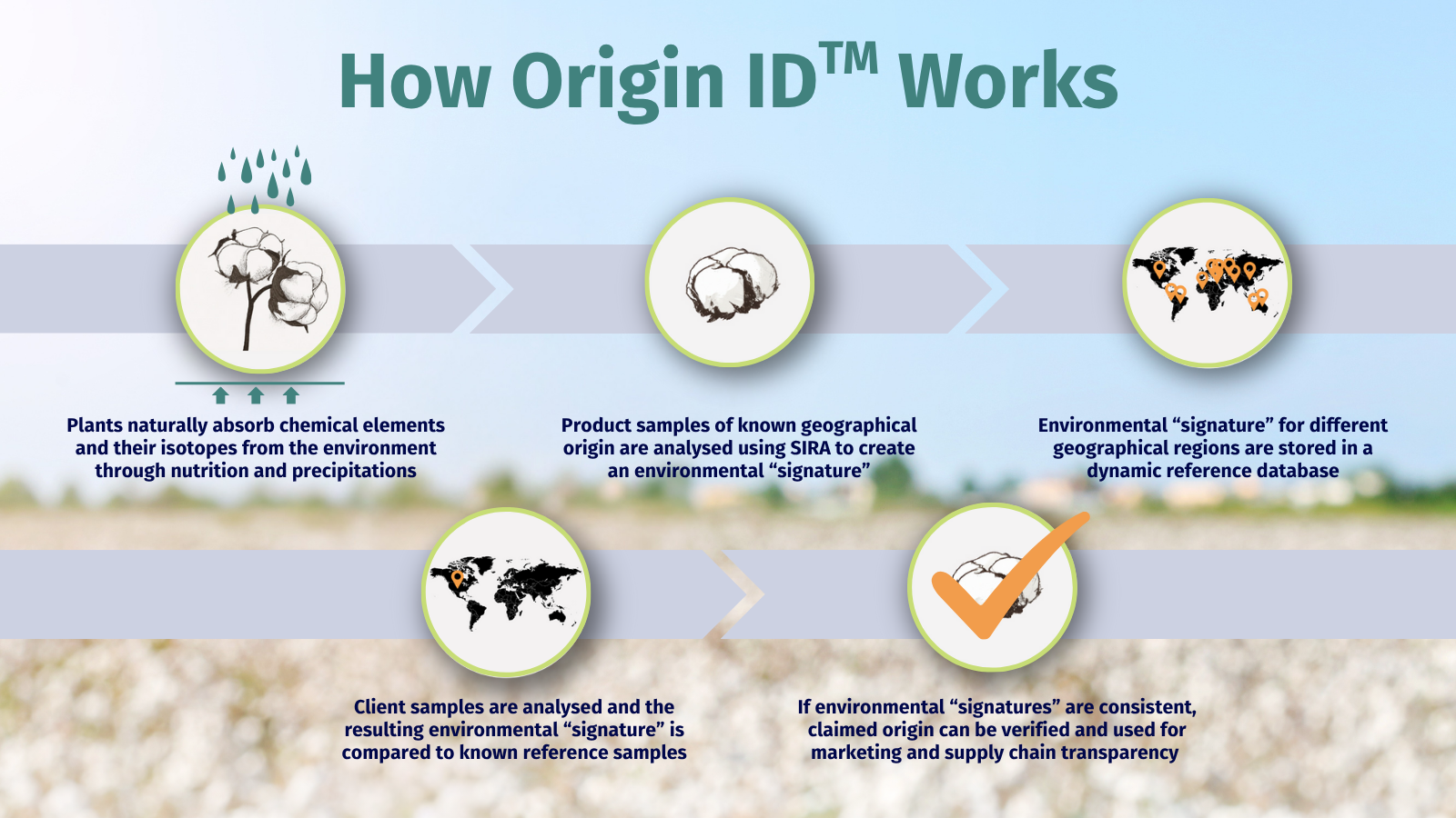 Susi_Global_Paid Ad_Landing Page_Origin ID-V1