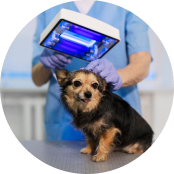 PET scanners