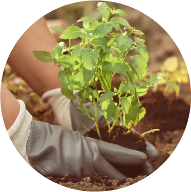 PPE-gardening gloves icon